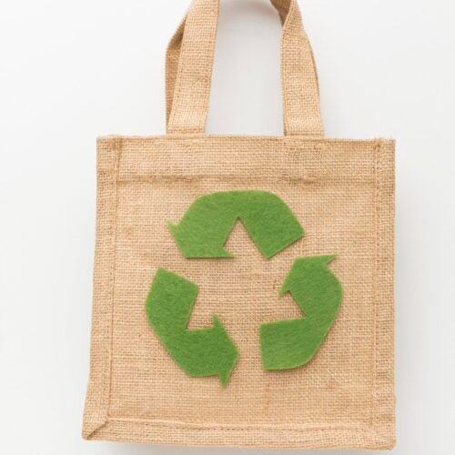 ecological-bag
