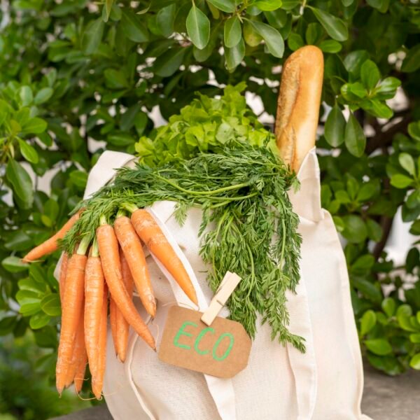 reusable-bag-with-food-outside